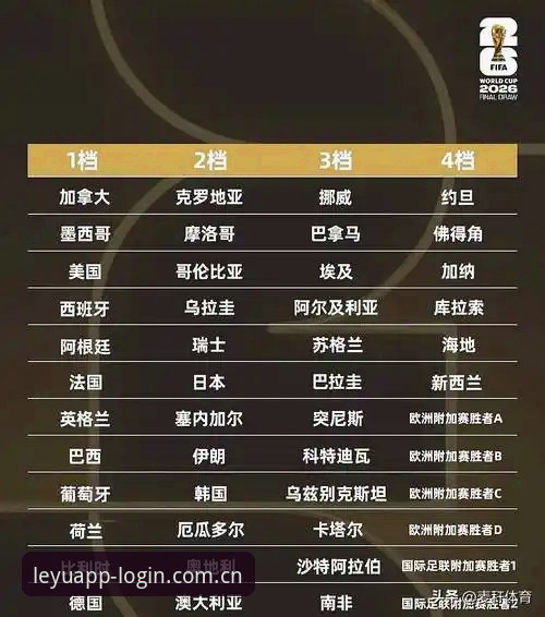 老球迷分享：2026世界杯J组抽签夜，我是如何用乐鱼leyu网页版2026看透德甲暗线的